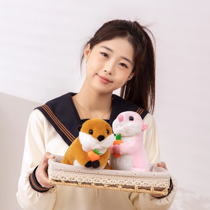 20cm