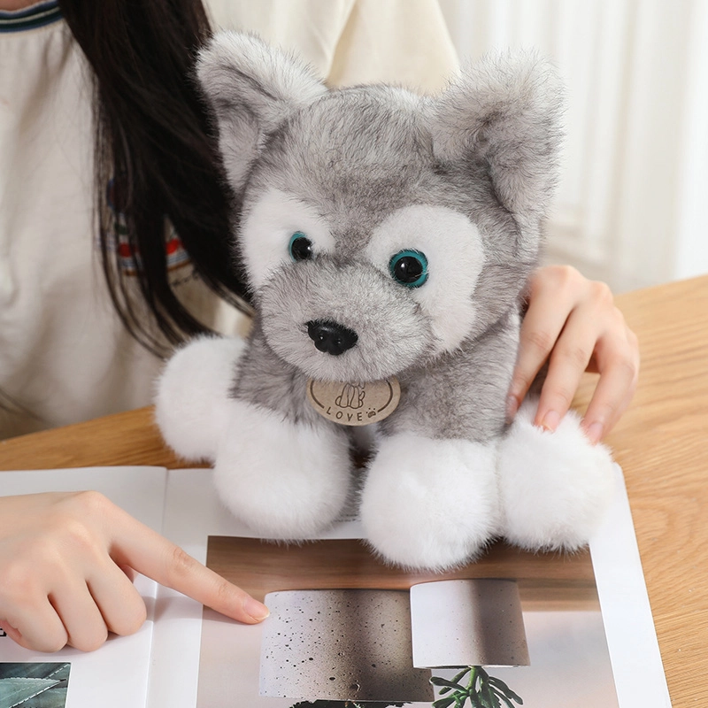 22cm