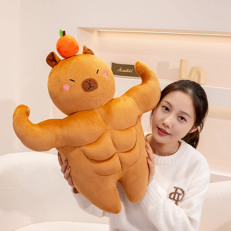 36cm58cm