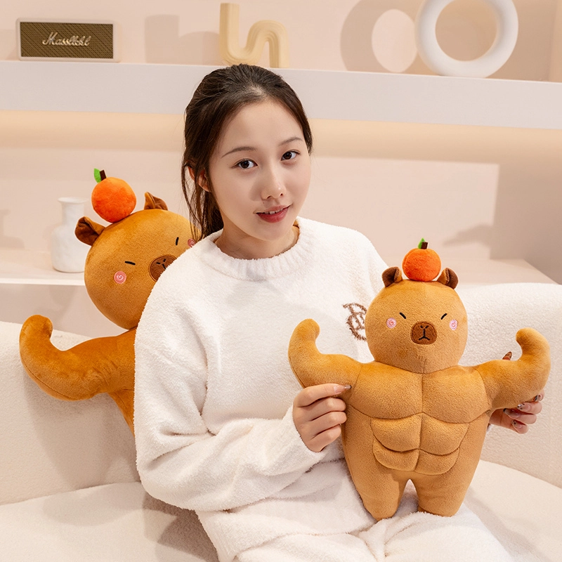 36cm58cm