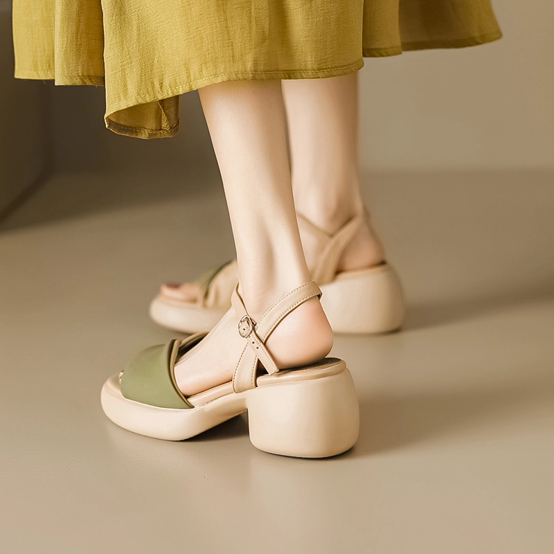 TATAYA 6.5cm