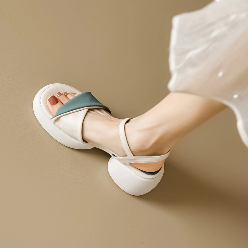 TATAYA 6.5cm
