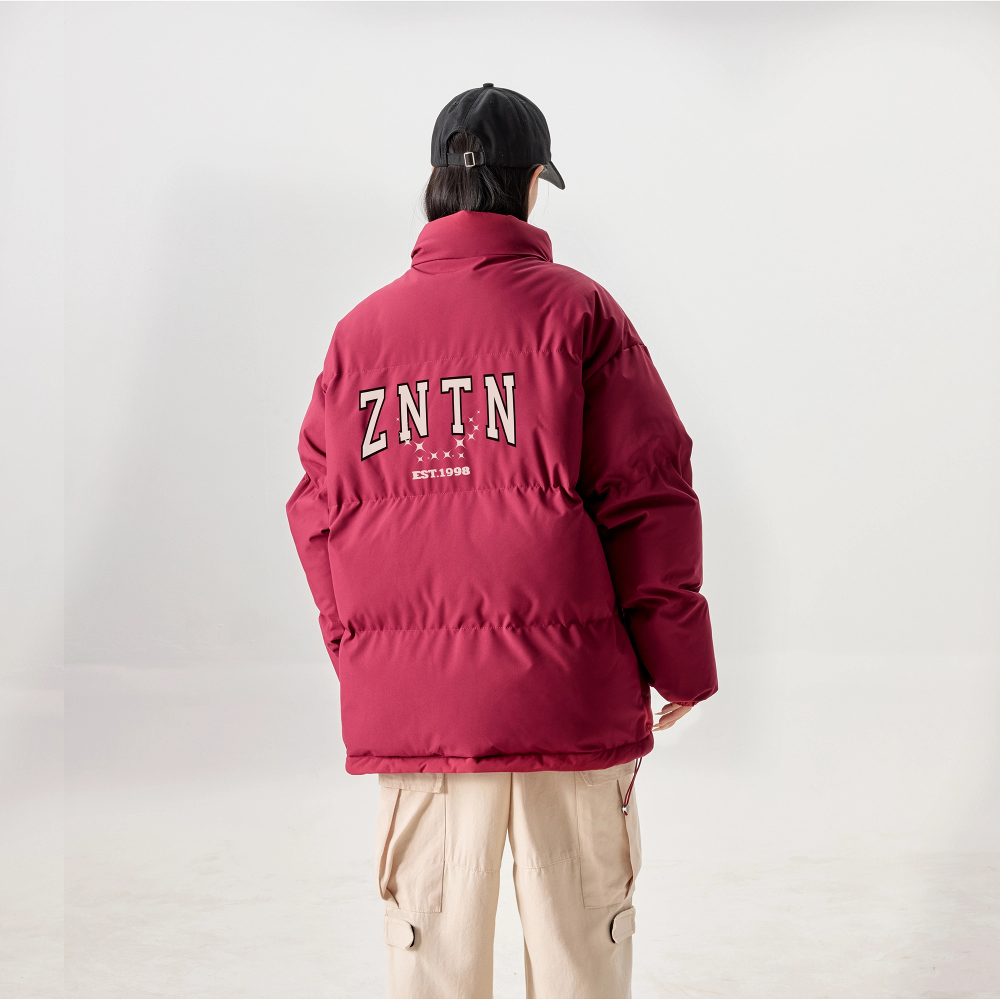 ZNTN logo