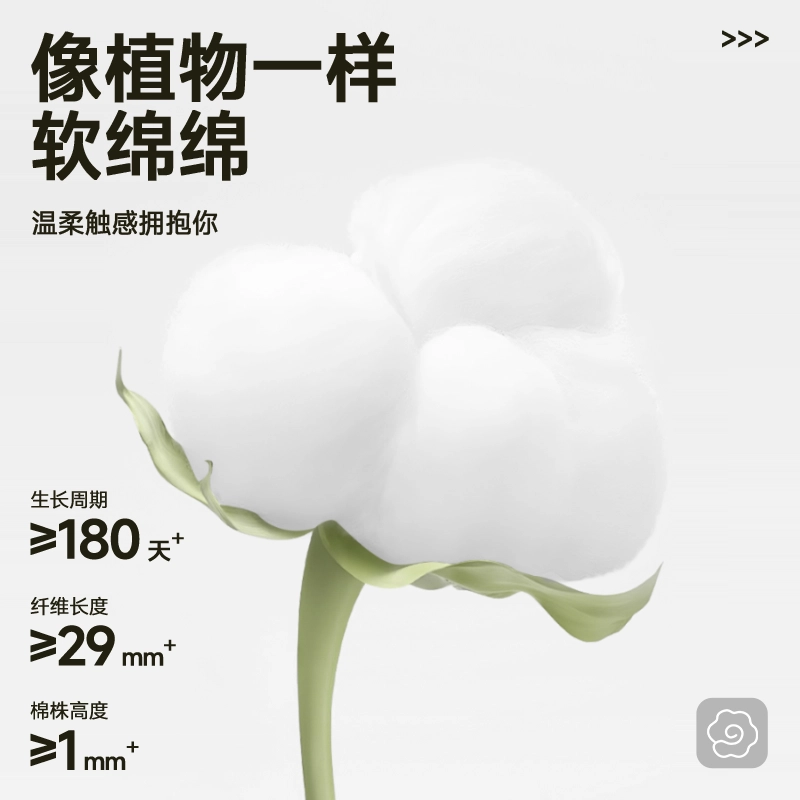 MINISO T