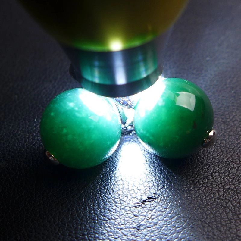 8.19g