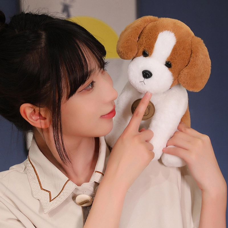 25cm