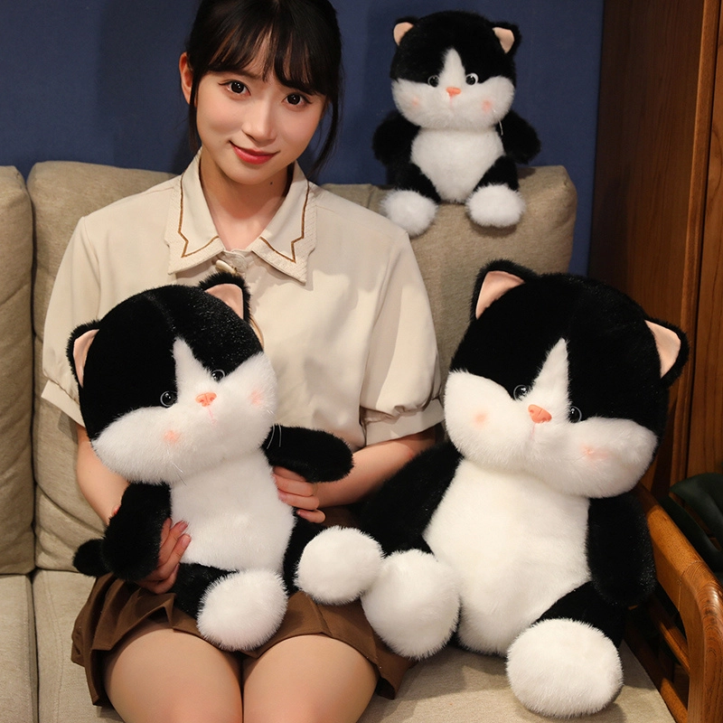 25cm35cm45cm