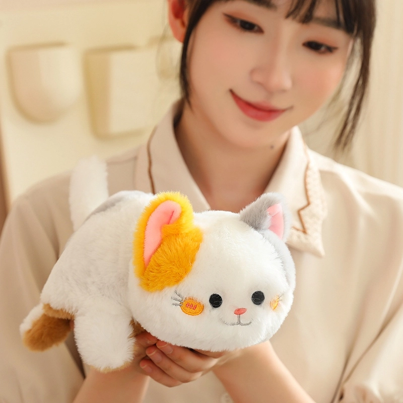 25cm35cm