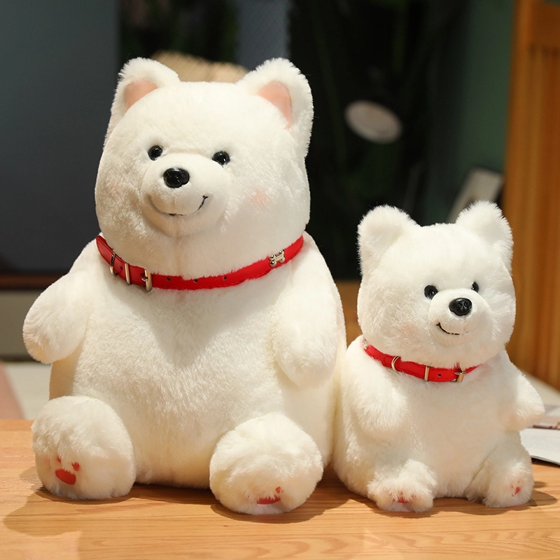 25cm35cm45cm