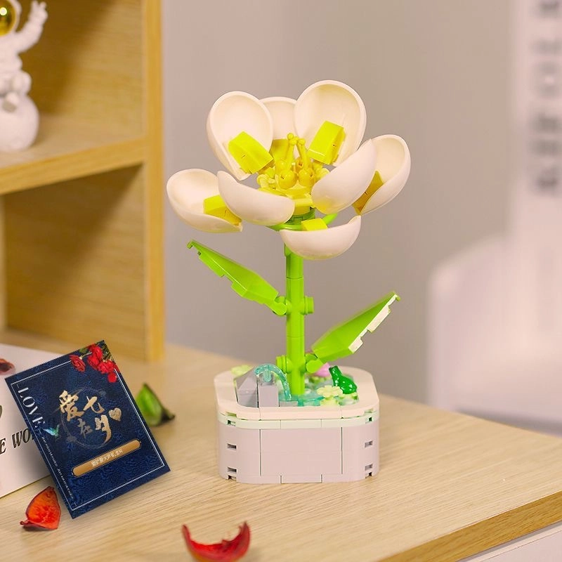 100-300pcs DIY