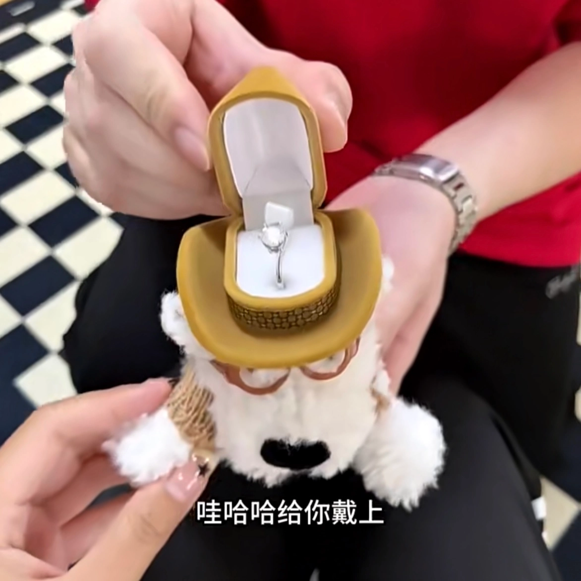 15cm