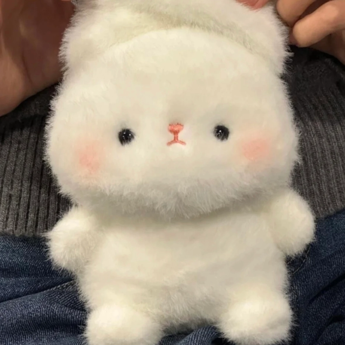 16cm