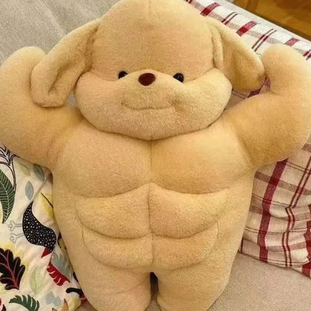 35cm50cm