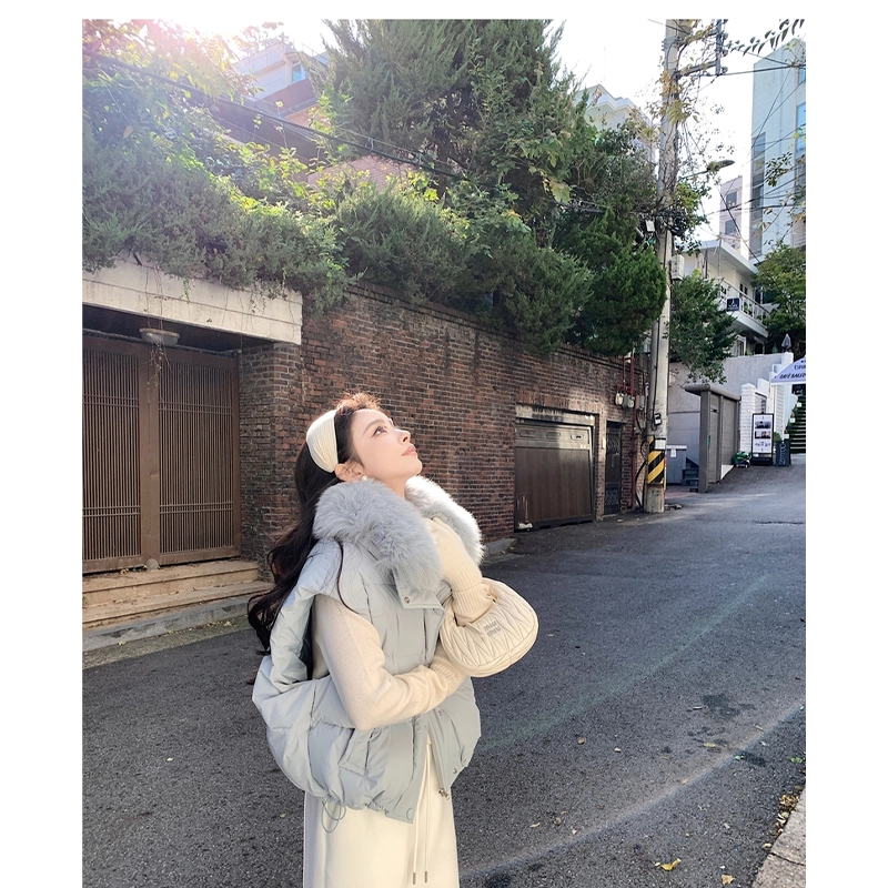 丝絮丝绸 秋冬季时尚宽松舒适白富美奢華贵妇级大毛领坎肩马甲外套棉服 女款