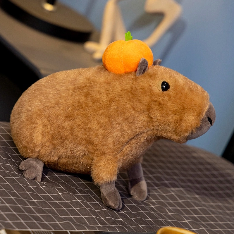 30cm
