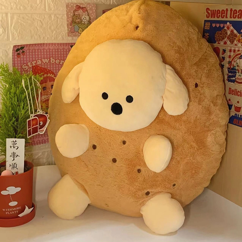 25cm50cm