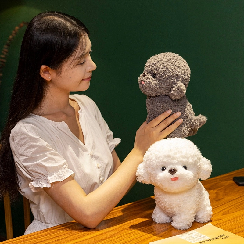 20cm30cm