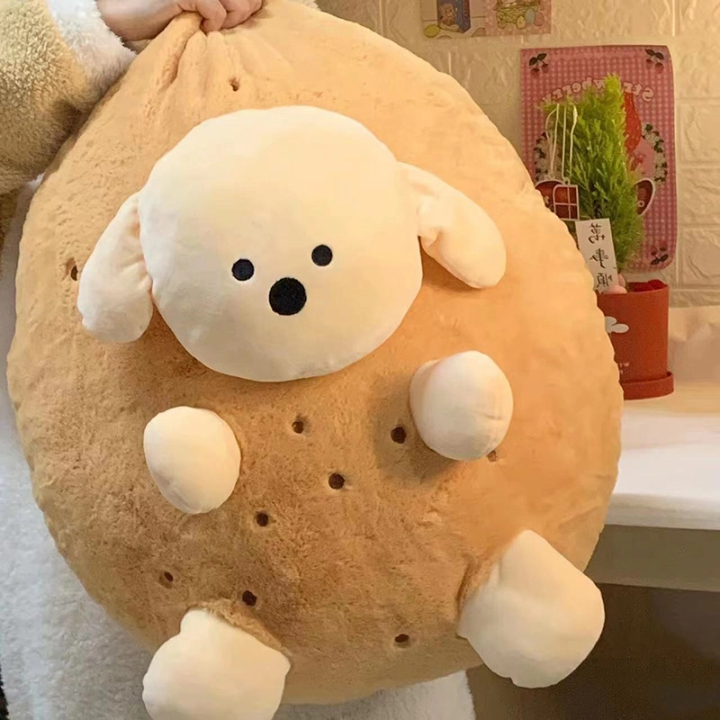 25cm50cm