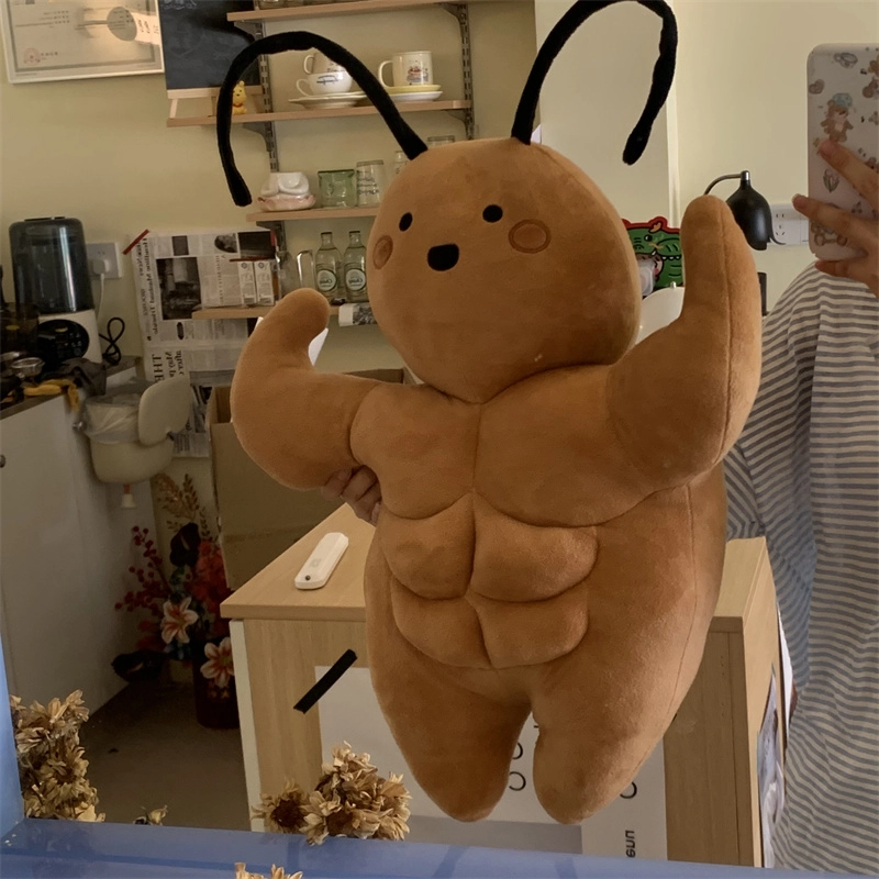 55cm75cm