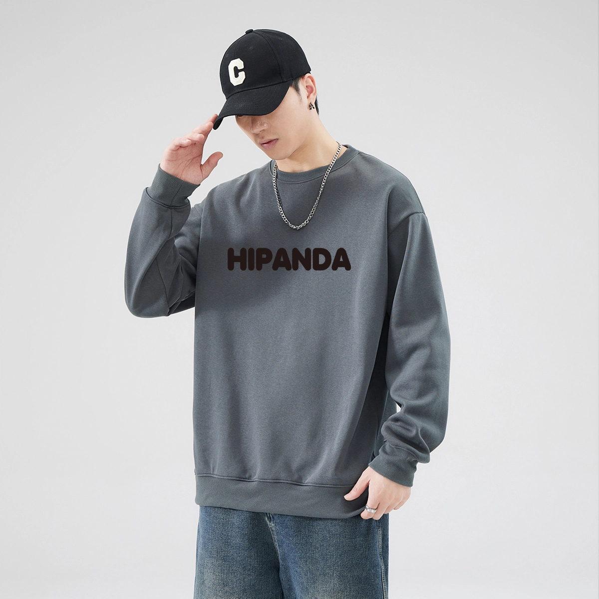 HIPANDA logo