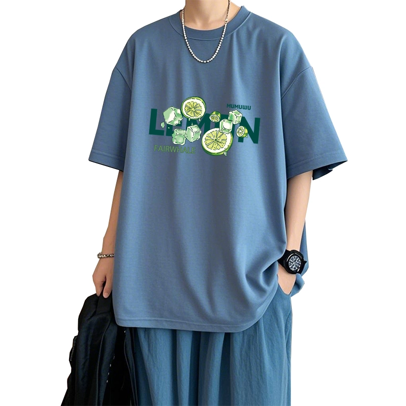 FAIRWHALE NASA T