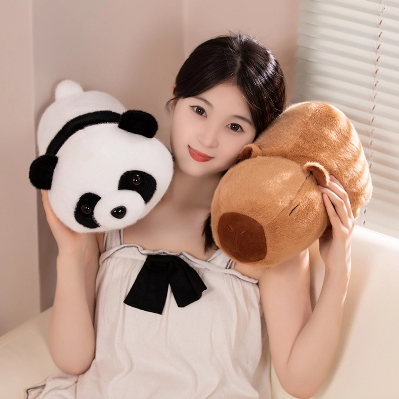 24cm34cm