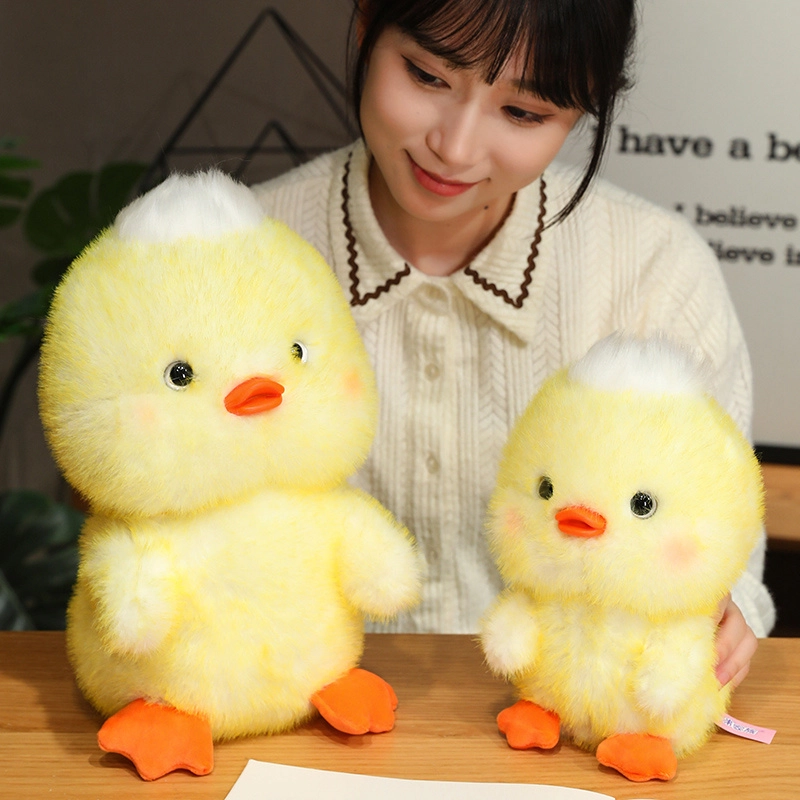 25cm35cm45cm