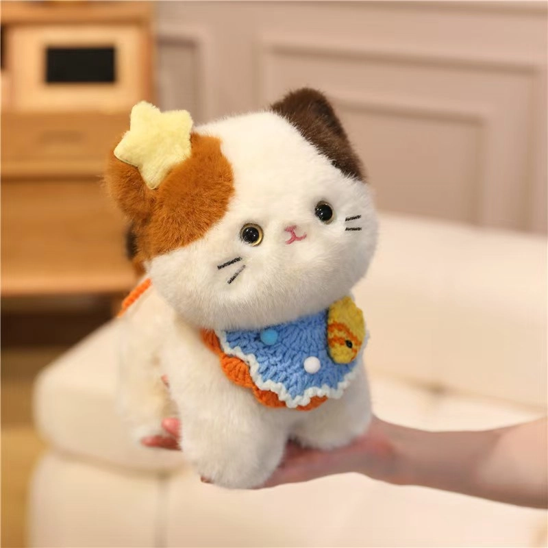 20cm30cm