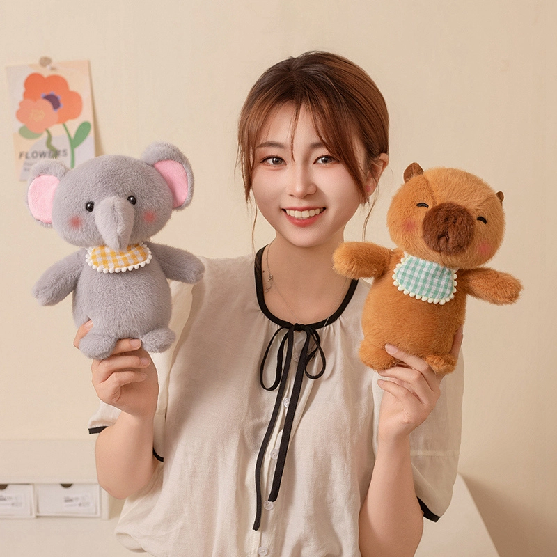 20cm