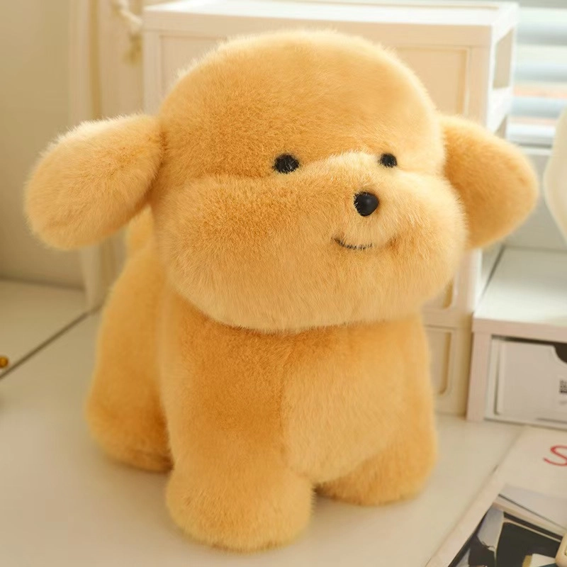 20cm30cm
