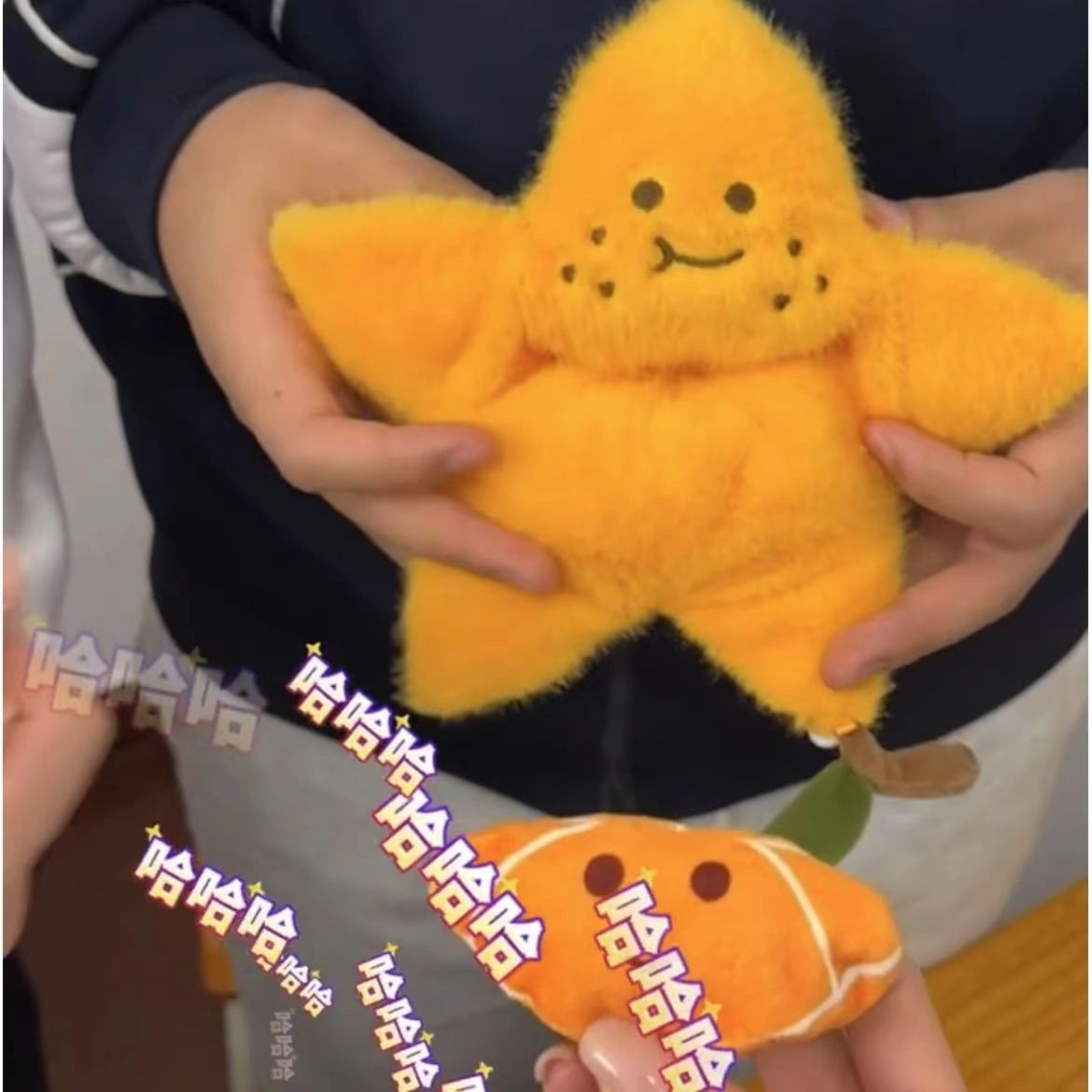 13cm