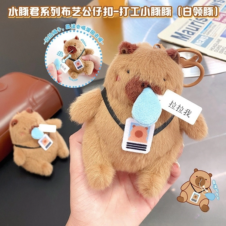 15cm