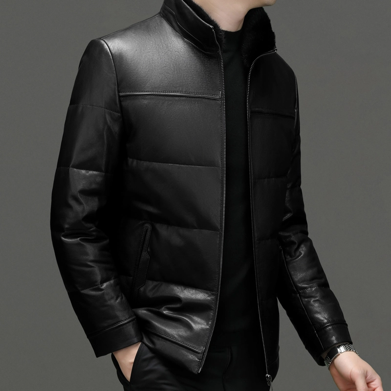 PIERRE CARDIN