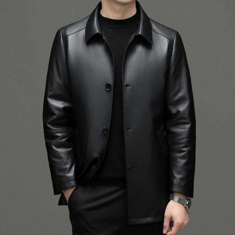 PIERRE CARDIN