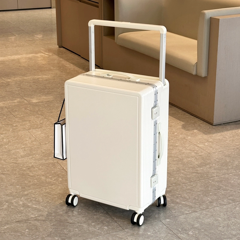 XIANGSU PC 20242622