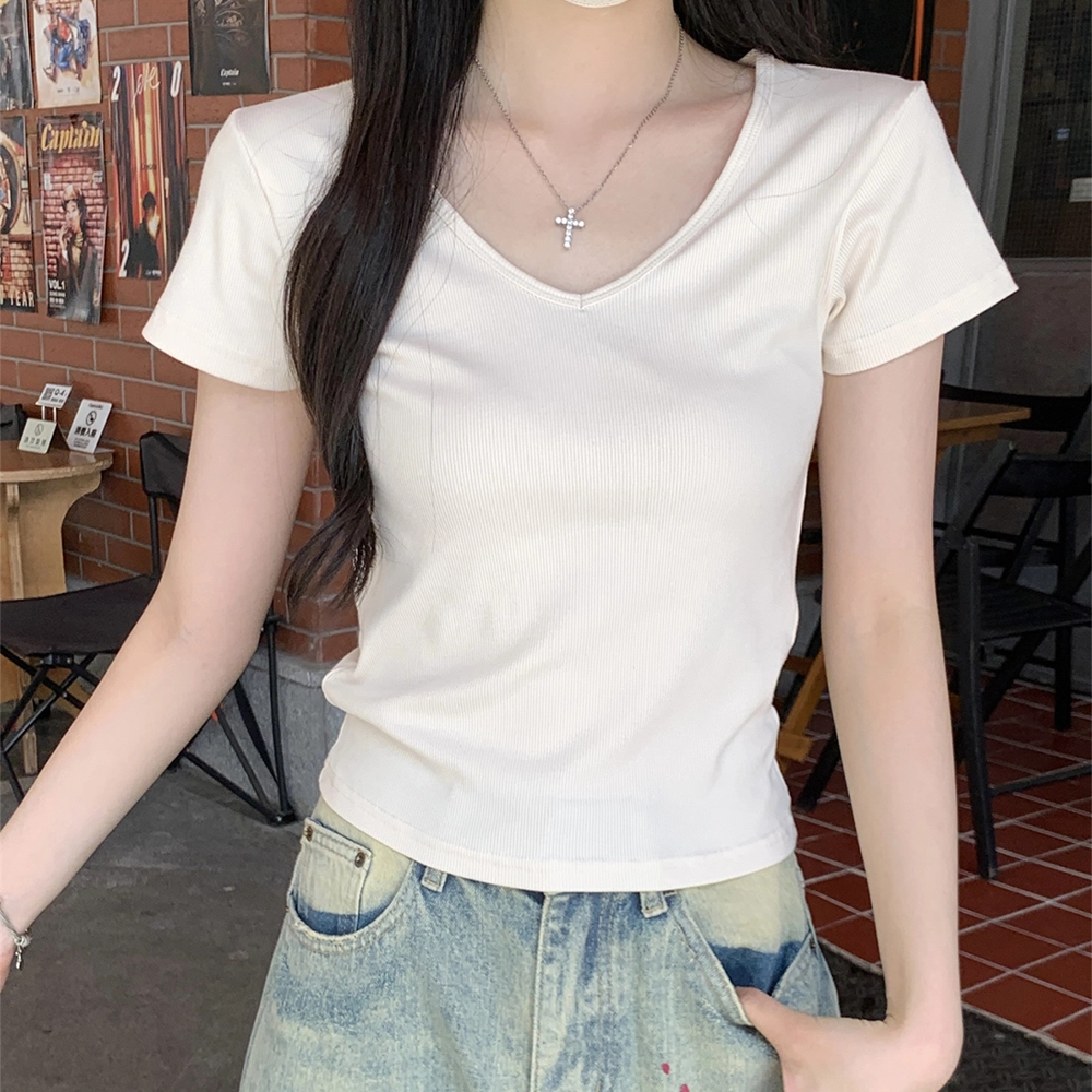 ERIRI v T