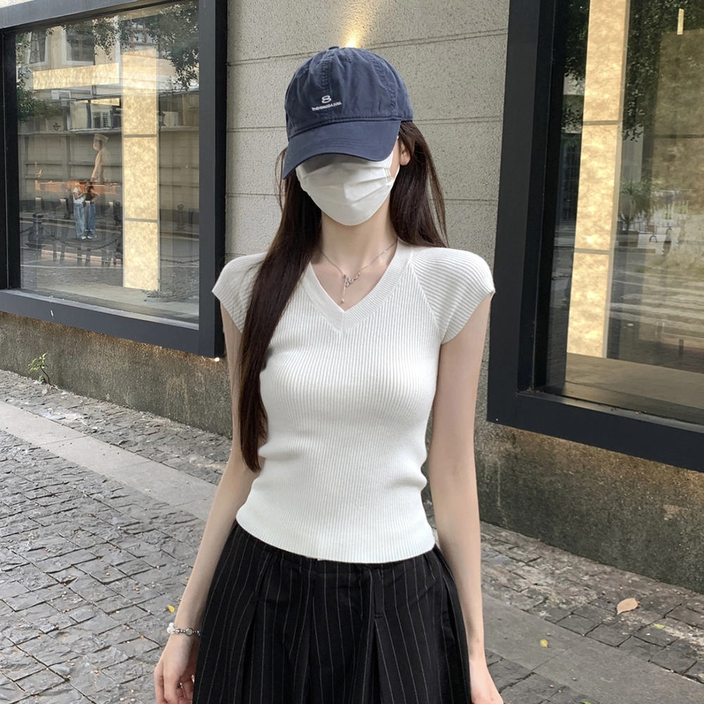 ERIRI v T