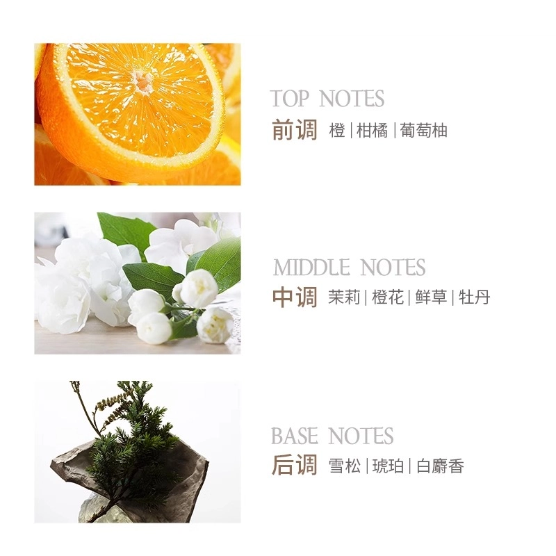 瑷菲诗 芦荟花御颜奢护清洁沐浴露