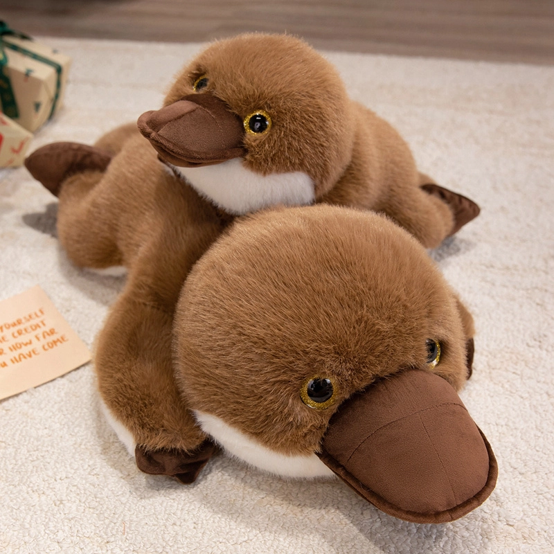 JBBCN 55cm80cm