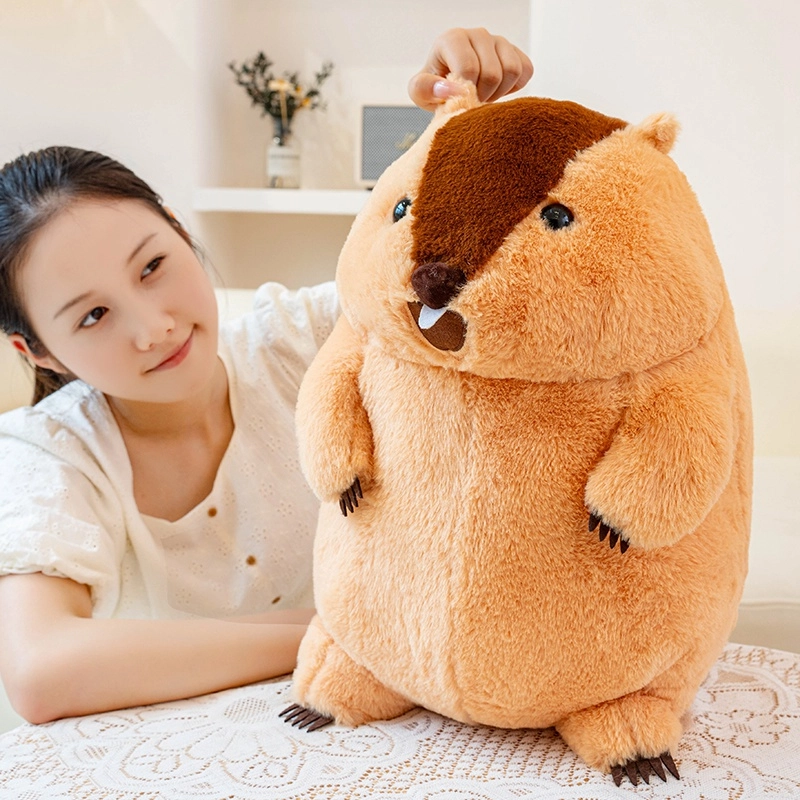 JBBCN 34cm40cm