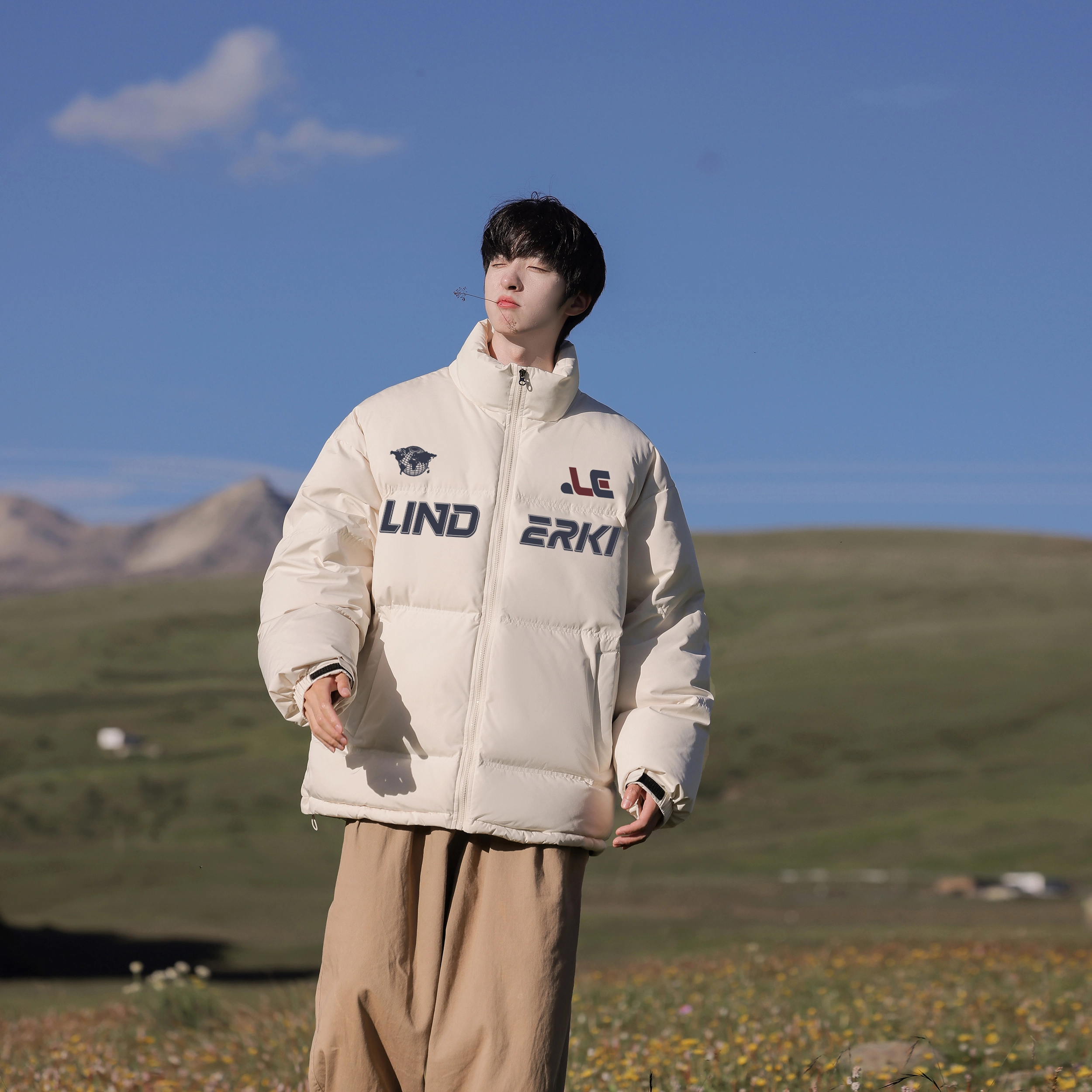 Lind Erki 90Logo