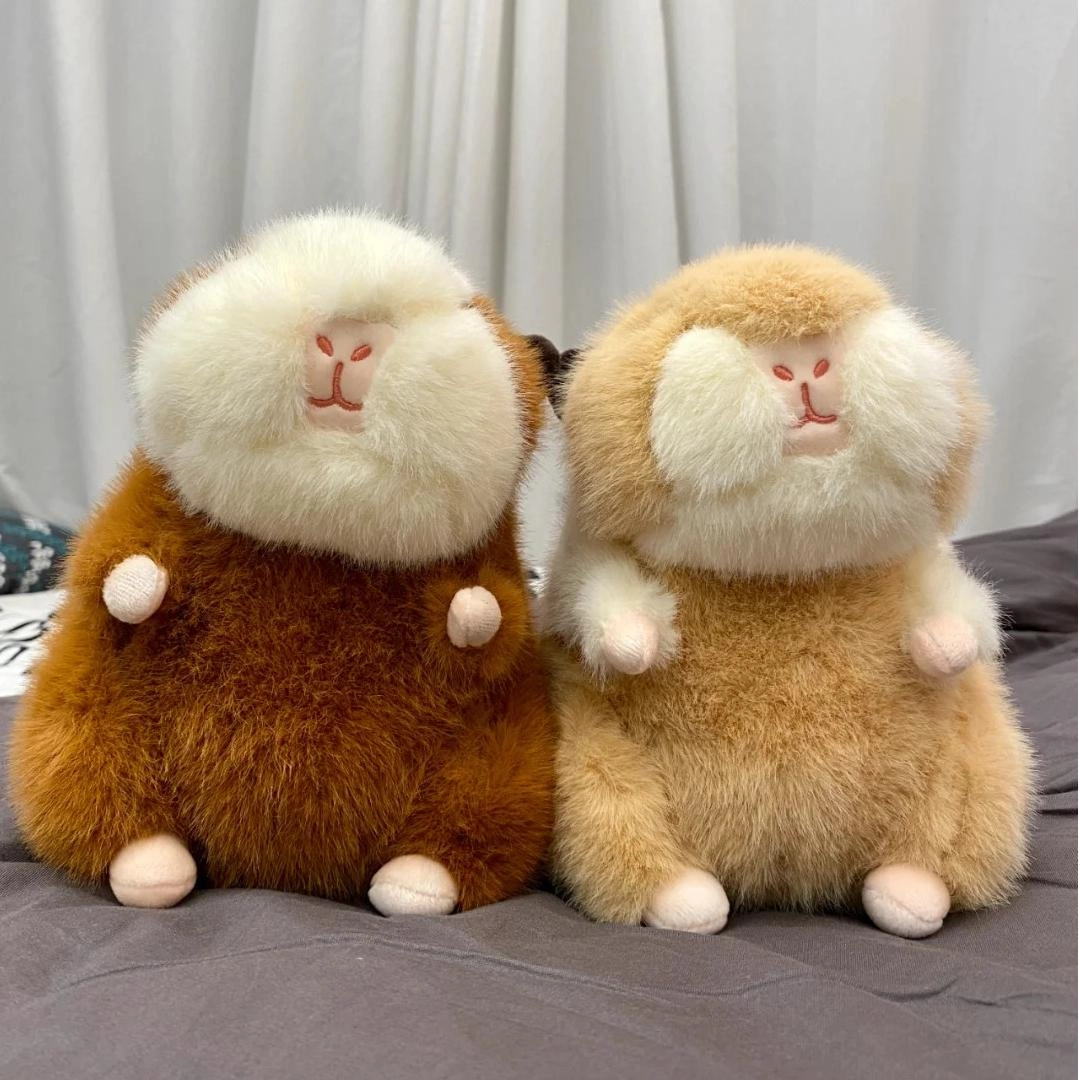 X2HOMME 20cm30cm
