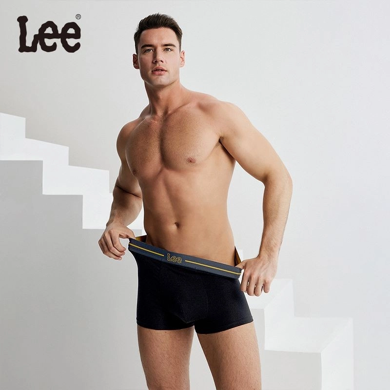 Lee logo 3