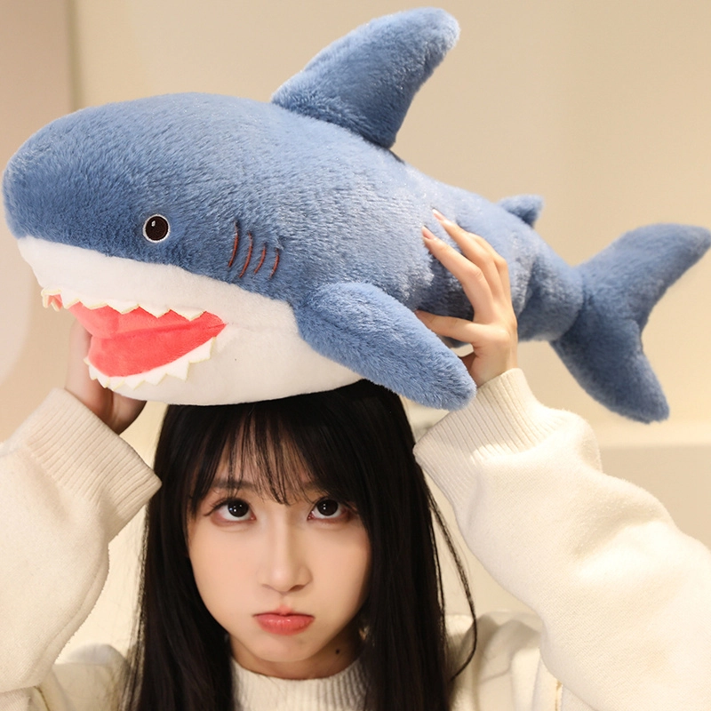 60cm80cm100cm120cm