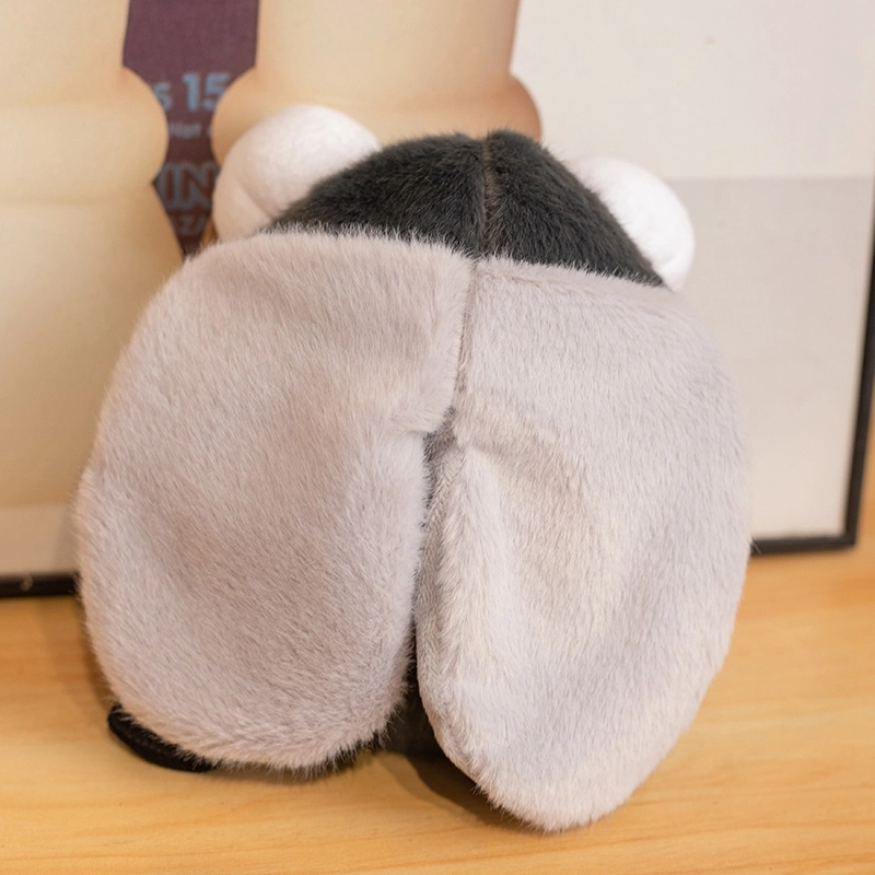 20cm