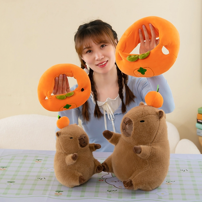 25cm35cm