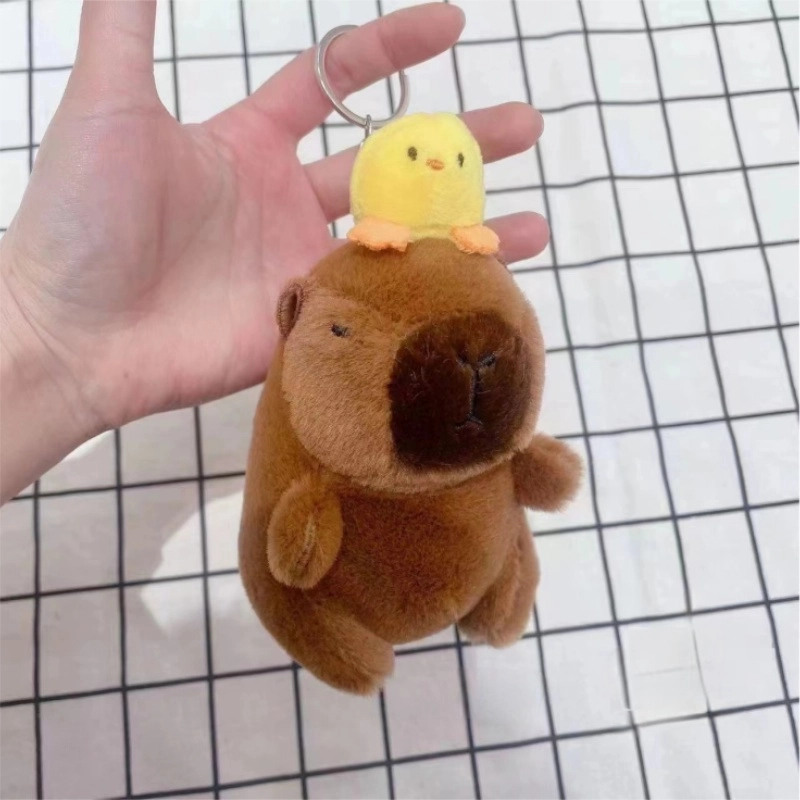 15cm