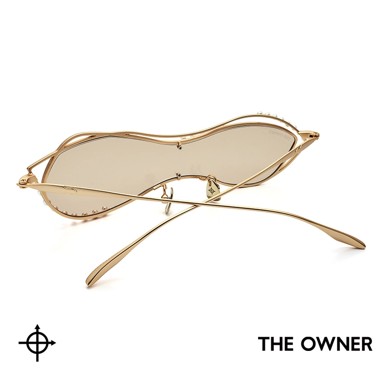THE OWNER