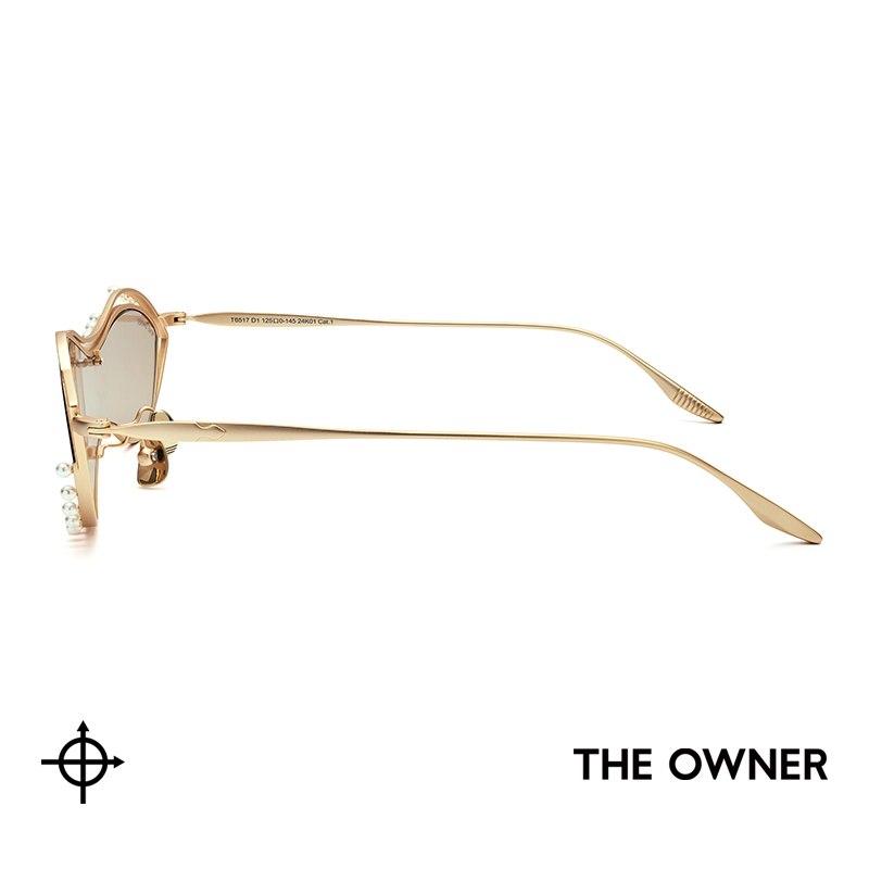 THE OWNER