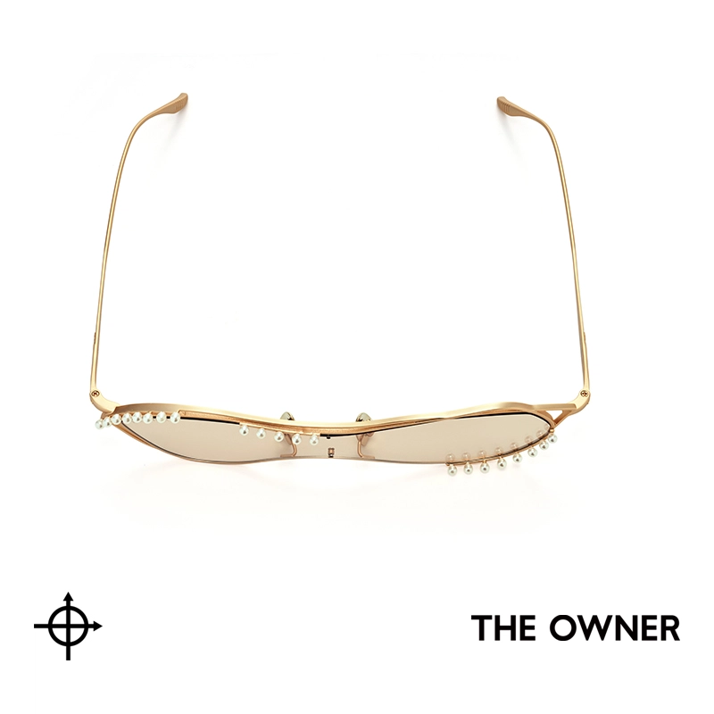 THE OWNER